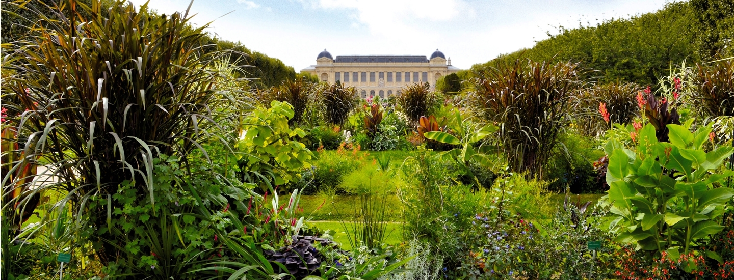 <p>View of the Jardin des Plantes</p>