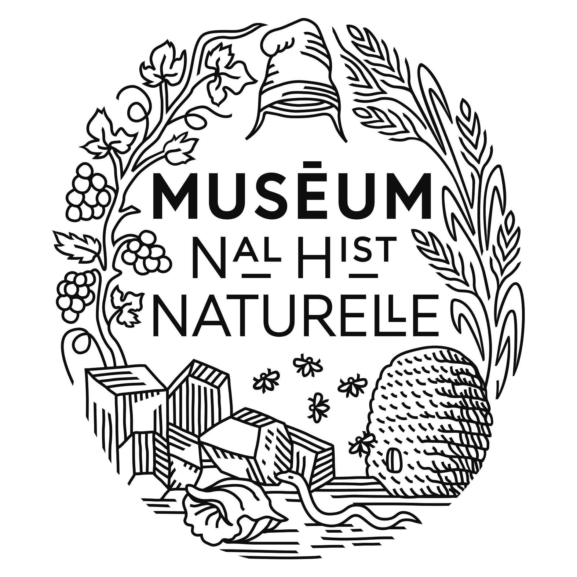 logo for Muséum National d'Histoire Naturelle