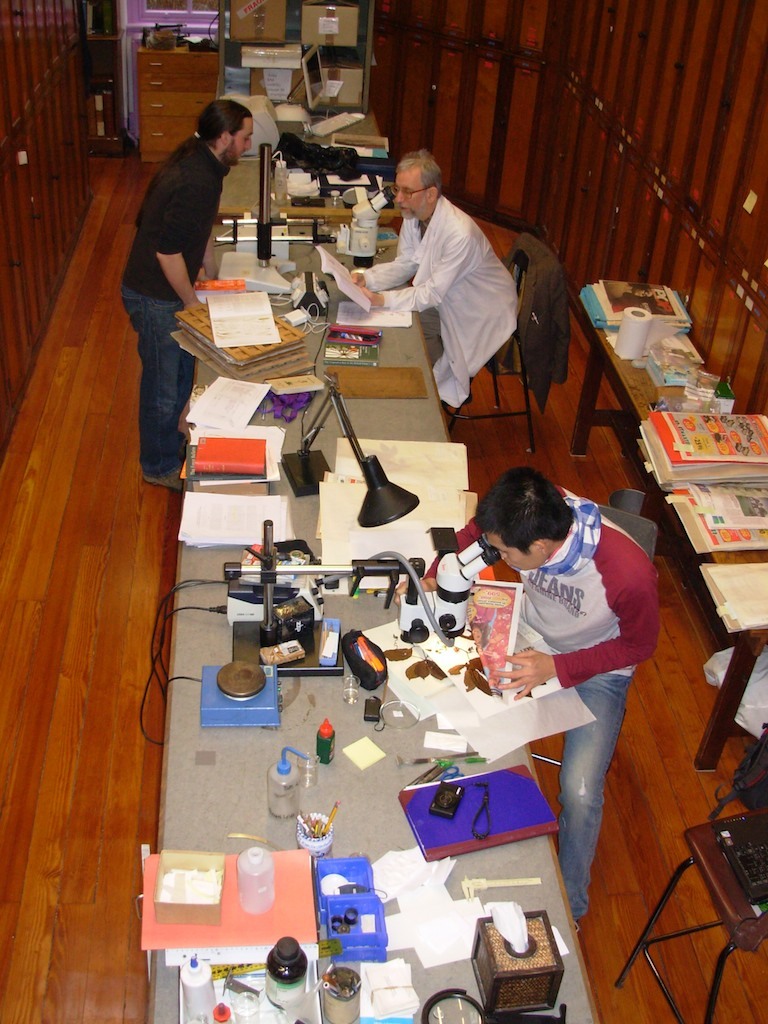 <p>Floristic research and specimen identification at TCD herbarium.</p>