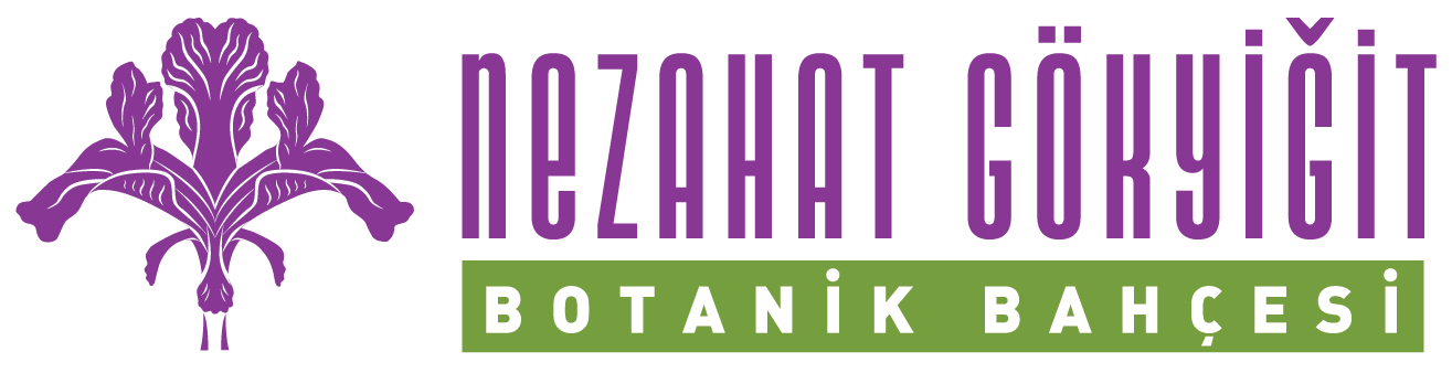 logo for Nezahat Gökyiğit Botanik Bahçesi (NGBB)